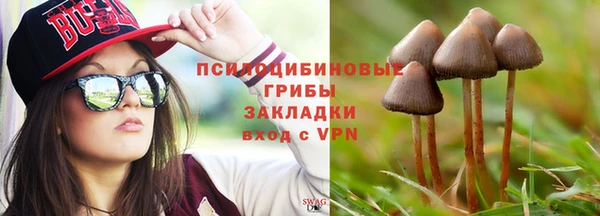ПСИЛОЦИБИНОВЫЕ ГРИБЫ Нязепетровск