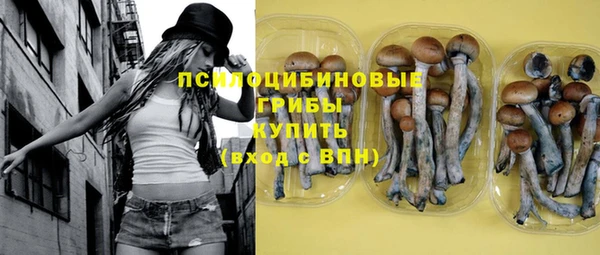 прущая мука Алзамай