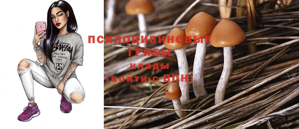 альфа пвп Нягань