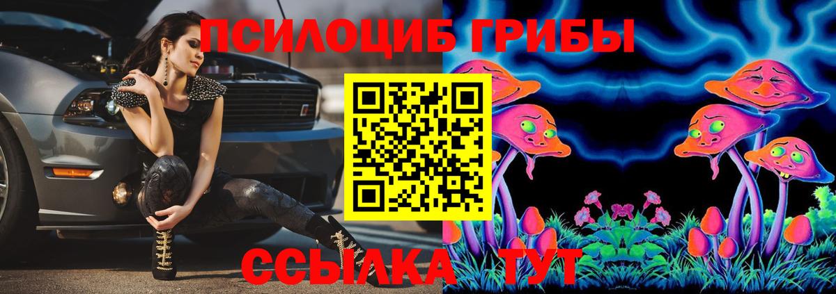 Псилоцибиновые грибы мицелий Похвистнево